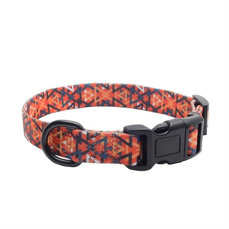 Floral Print Dog Collar