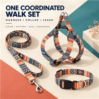 Ensemble de promenade pour chien imprimé