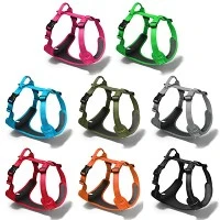 Harnais pour chien de marque privée