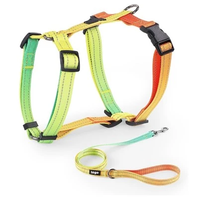 Cute Dog Leash And Harness
