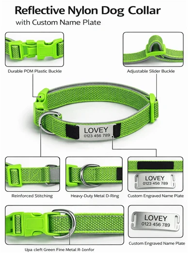 Engraved Dog Collar