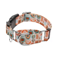 Collier de martingale pour chiot